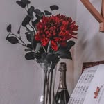 @william_kothari_abpp - Instagram