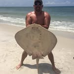 William Kozlowski - @willieandthepoorboys1 - Instagram