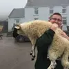 will.kozlowski_ - @will.kozlowski_ - TikTok