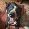 williamskrainski - @williamskrainski - TikTok
