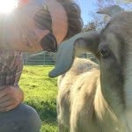 William Kratzer - @williamkratzer - Instagram