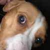 williamkrier - @williamkrier - TikTok