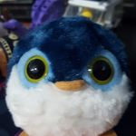 William Krull - @krullw - Instagram