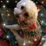 Gary William Kump - @kumpgary - Instagram