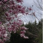 William Kunkle - @kcchiefer54 - Instagram