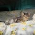 William Kunkle - Facebook