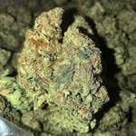 @william_kush00 - Instagram