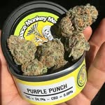 william kush - @william_kush_290 - Instagram
