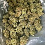 William_Kush - @william_kush3 - Instagram