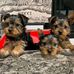 William Cabel - Facebook