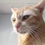Saw William Kyaw - @saw_william_kyaw - Instagram