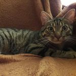 Вильям - @william_kyiv - Instagram