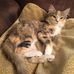 Bill LaBarbera - Facebook