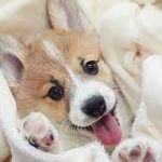 William Labarre - @williamlabarre032302 - Instagram