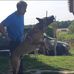 William Labrioche - Facebook