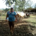 William Laguna - @lagunawilliam15 - Instagram