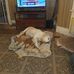William Lahr - Facebook