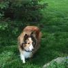 William Linhardt - @william.linhardt - TikTok