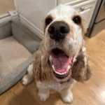 William Laird - @williamlaird17 - Instagram