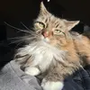 Lamarr Williams - @lamarr.williams - TikTok