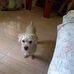William Lamas - Facebook