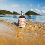 William Lammers - @williamlammers - Instagram