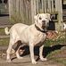 William Lamphier - Facebook