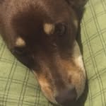 William.lamp - @william_lamp1 - Instagram