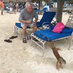 William Harvey Laney - @william.laney.37 - Instagram