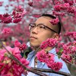 LANG - @william_lang_ - Instagram