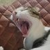 William Lang - Facebook