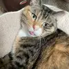 billmeows1977 - @williamlanzisero - TikTok