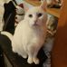 William Larose - Facebook