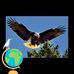 William Larose - Facebook