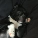 William Lavoie - @william_165708 - Instagram