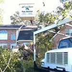 William Lawhon - @lawhon_tree_service_ - Instagram