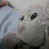 William Le - @williamle42 - TikTok