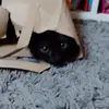 William leaman - @william.leaman - TikTok