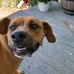 William Ledet - Facebook