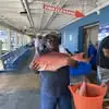 William Leeks - @william.leeks - TikTok