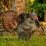 William Leffler - @wl_outdoors - Instagram