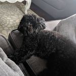 William Legault - @will.legault - Instagram