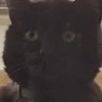 William Lejeune - @william_57100 - Instagram