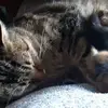 William Lejeune - @william.lejeune - TikTok