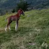 William Lema - @william.lema6 - TikTok