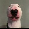 willy billy - @williamlemley6969 - TikTok