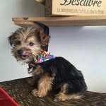 William Lemus - @wmlemusl - Instagram