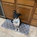 William Lenhart - Facebook