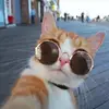 William Lent - @williamlent596 - TikTok