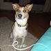 William LeVan - Facebook